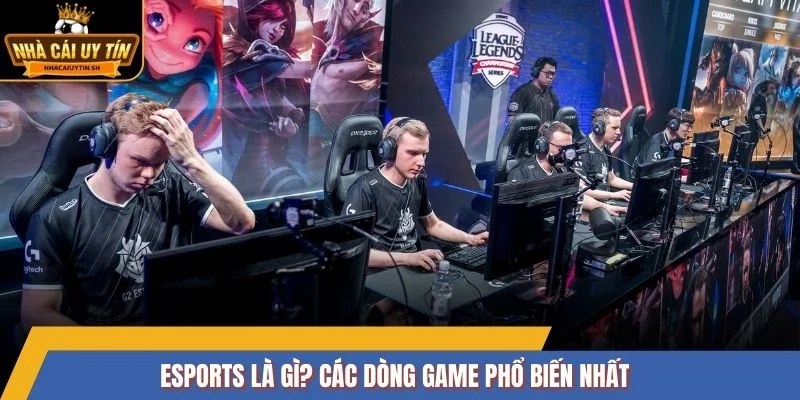 Esports là gì? Các dòng game phổ biến nhất